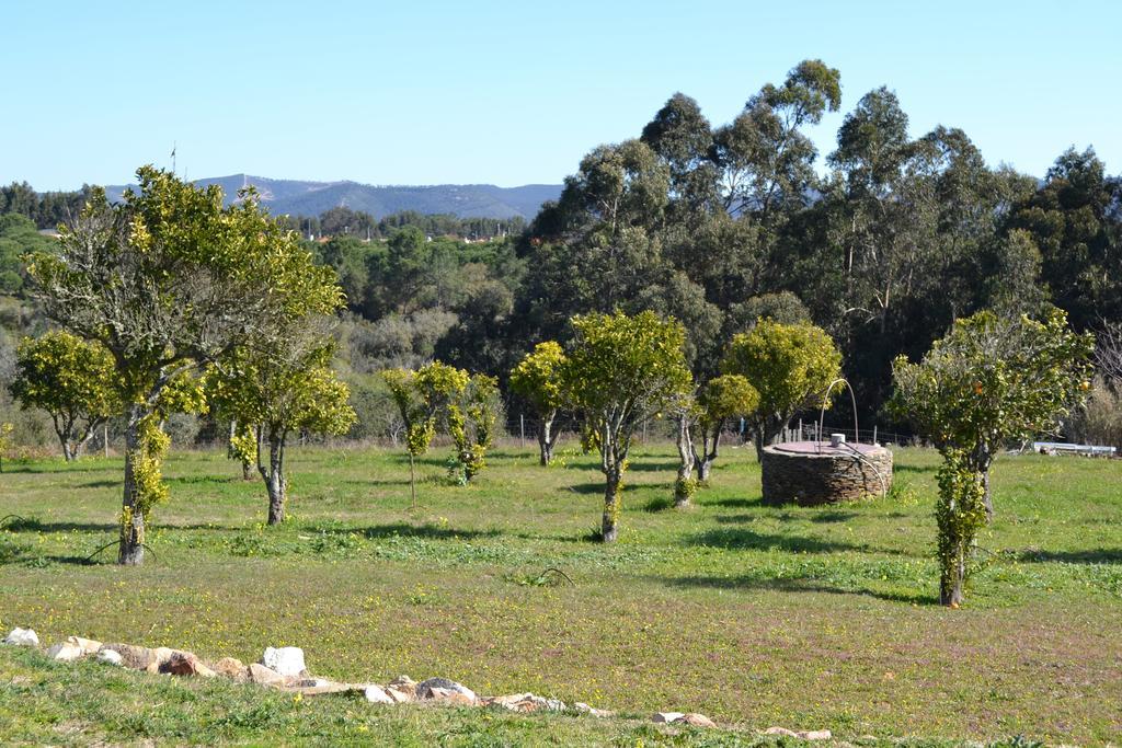Herdade Do Freixial - Turismo Rural Vila Nova de Milfontes Exterior foto